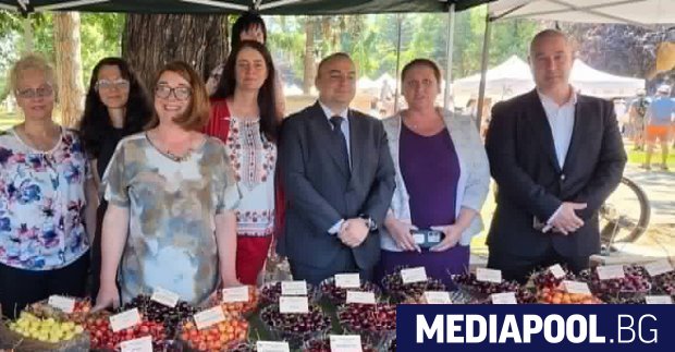 Земеделците ще получат 170 млн. евро помощ заради поскъпналите горива и торове